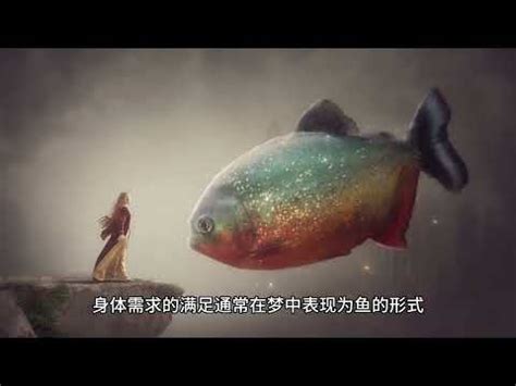 魚代表數字|夢到魚代表什麼數字